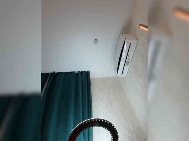 _Ellidi_ webcam