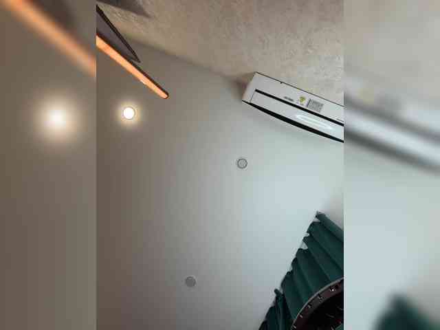 _Ellidi_ webcam