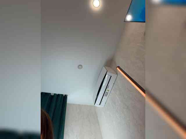 _Ellidi_ webcam