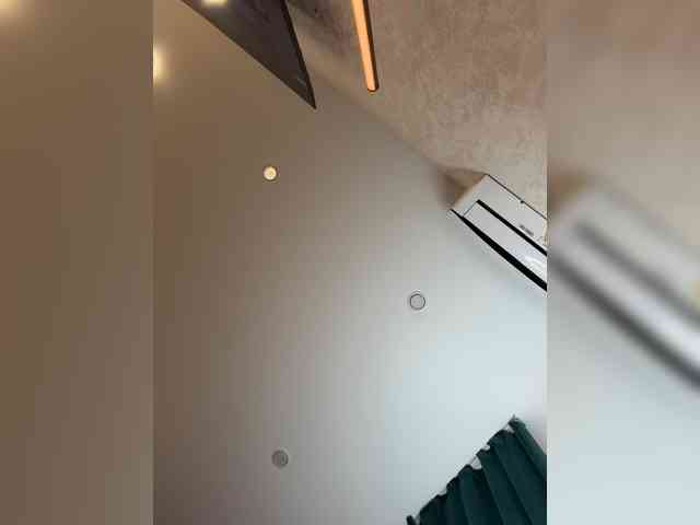 _Ellidi_ webcam