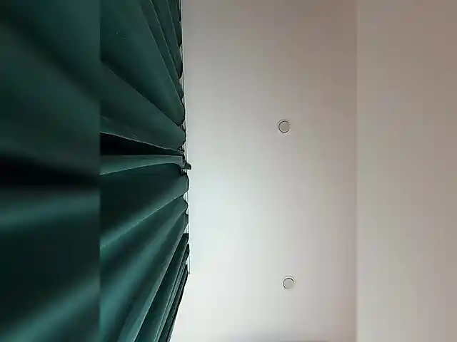 Ellidi