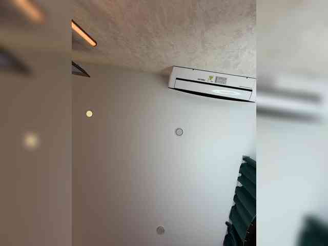 _ellidi_'s cam show statistics and live stream
