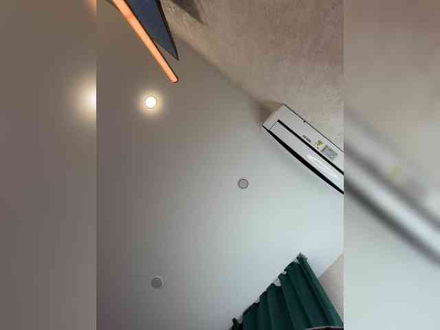 _Ellidi_ webcam
