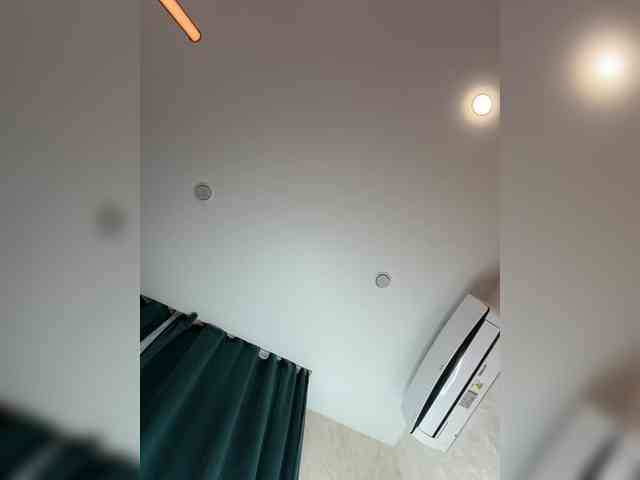 _Ellidi_ webcam