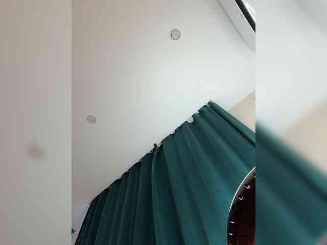 _Ellidi_ webcam