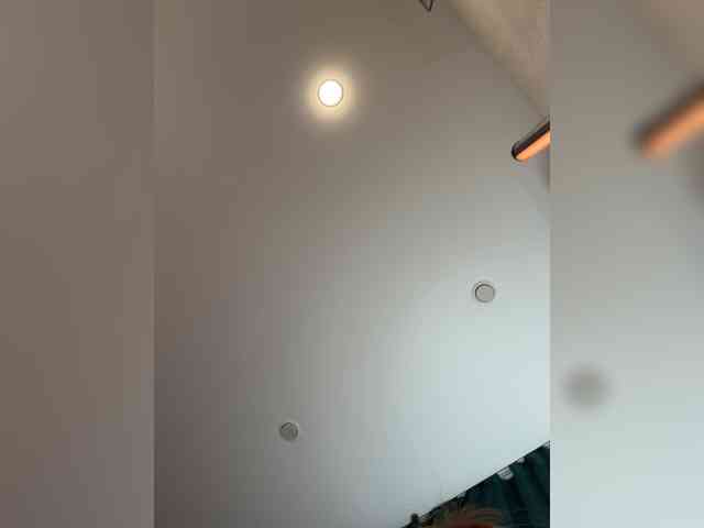 _Ellidi_ webcam