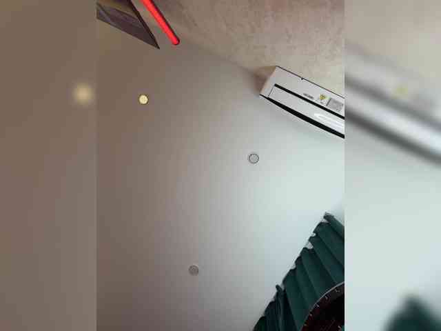 _Ellidi_ webcam
