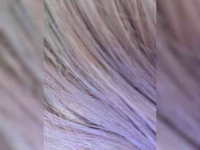 _Ellidi_ webcam