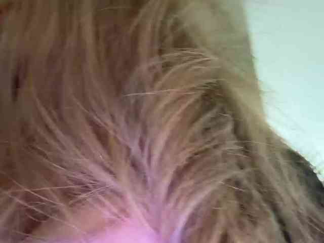 _Ellidi_ webcam