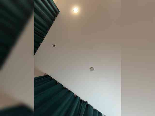 _Ellidi_ webcam