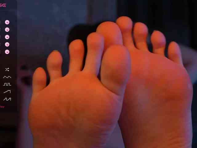_Polly_ webcam