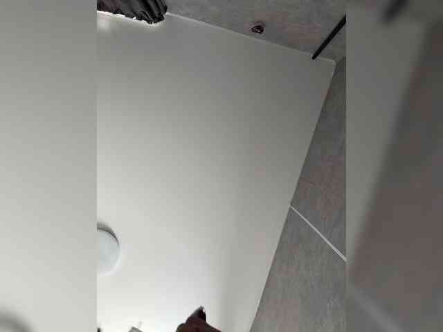 _Polly_ webcam