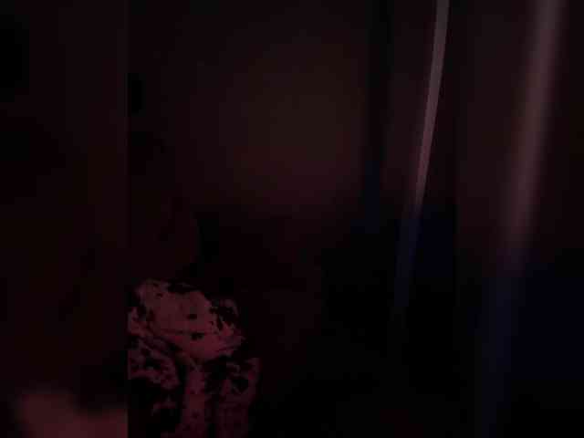 _Polly_ webcam