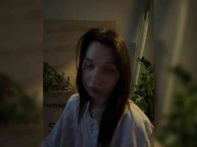 _Polly_ webcam