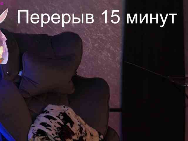 _Polly_ webcam