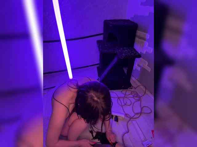 _Polly_ webcam