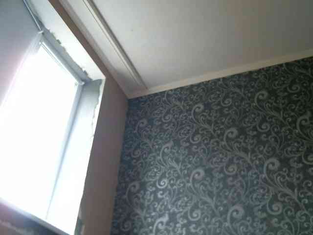 Carolly_ webcam