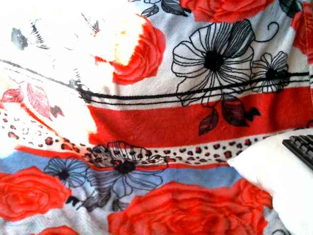 Carolly_ webcam