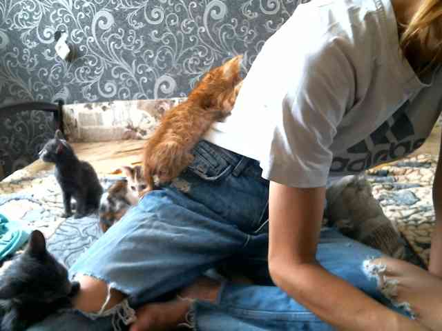 Carolly_ webcam