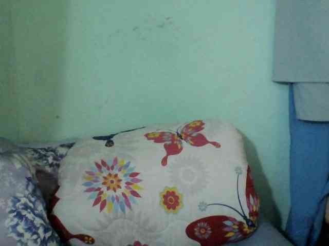 Alexa4U webcam