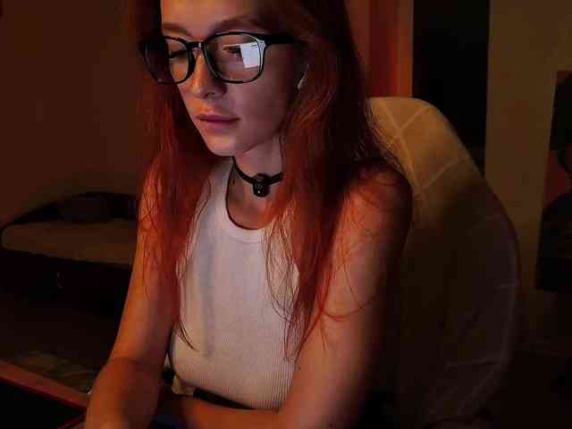 Fi-des webcam