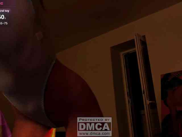 Fi-des webcam
