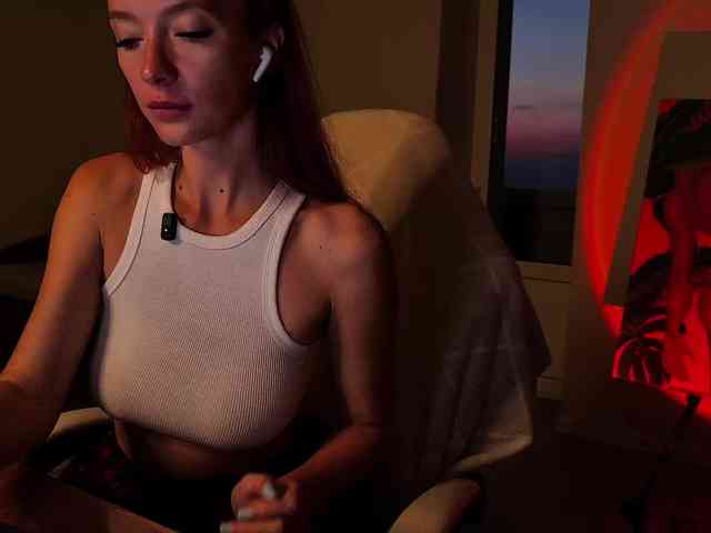 Fi-des webcam