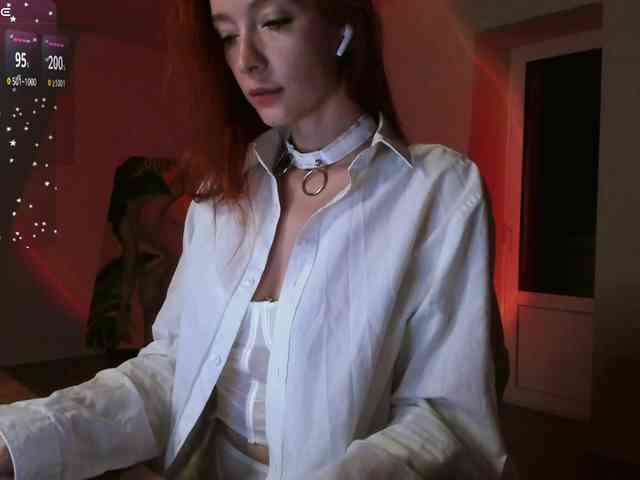 Fi-des webcam