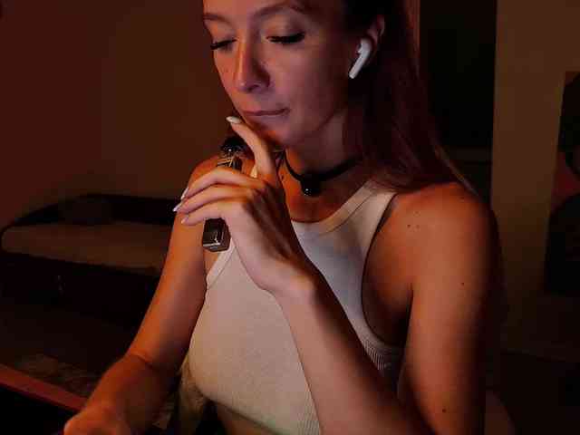 Fi-des webcam