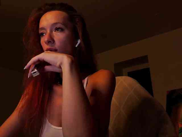 Fi-des webcam