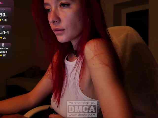 Fi-des webcam