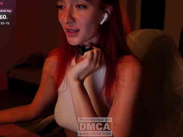 Fi-des webcam