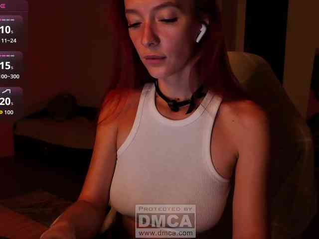 Fi-des webcam