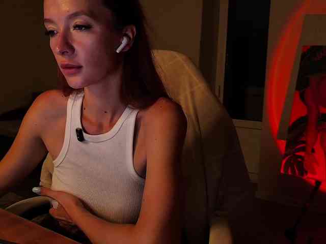 Fi-des webcam