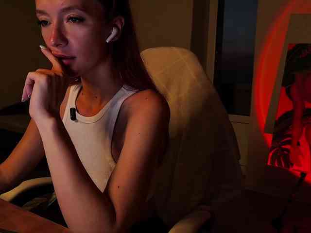 Fi-des webcam