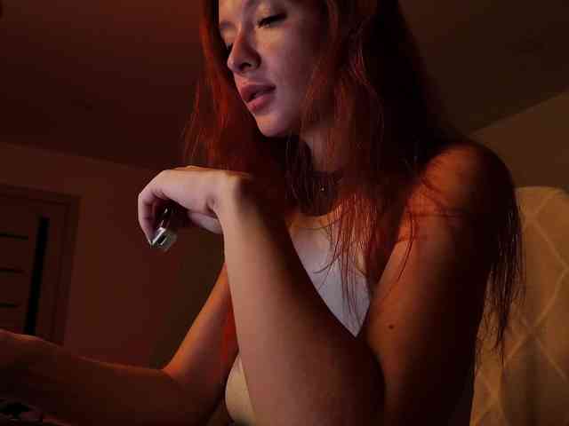 Fi-des webcam
