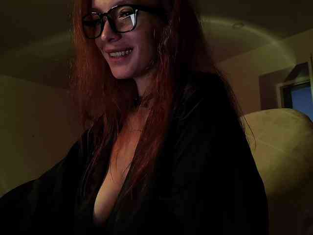 Fi-des webcam