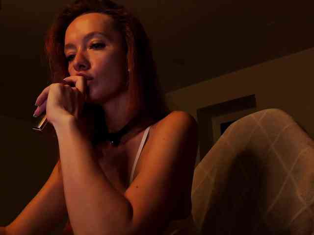 Fi-des webcam