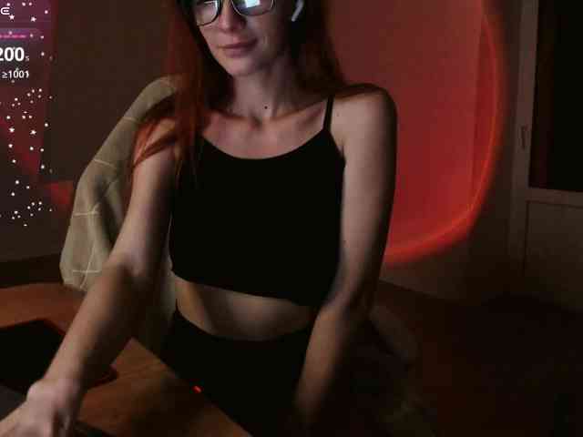 Fi-des webcam