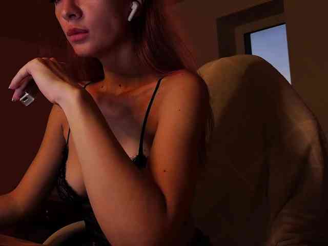 Fi-des webcam