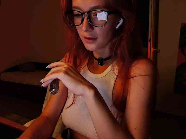 Fi-des webcam