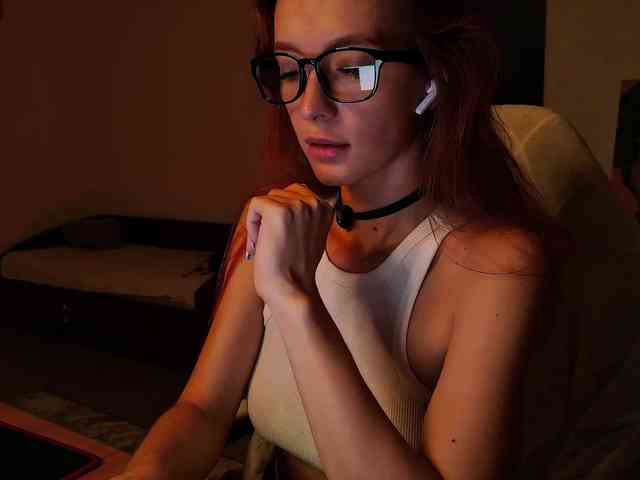 Fi-des webcam