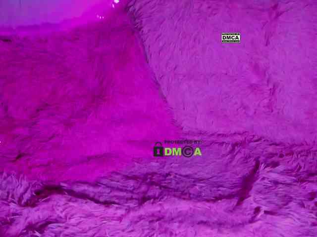 -roxy- webcam