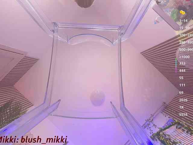 BlushMikki webcam
