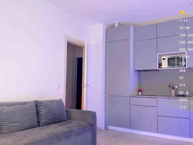 BlushMikki webcam
