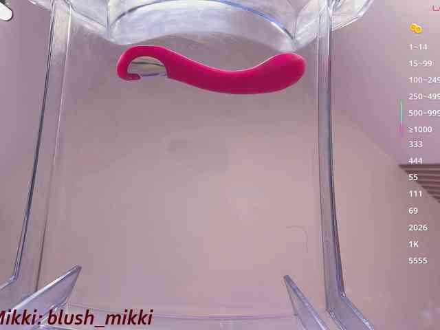 BlushMikki webcam