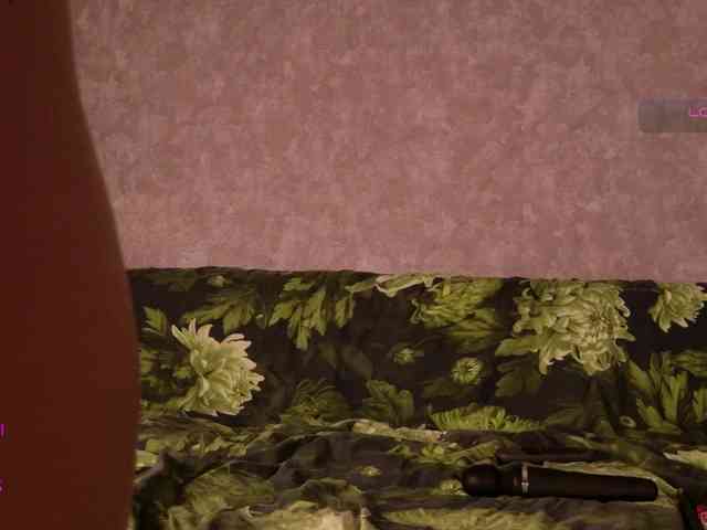 Avr0ria webcam