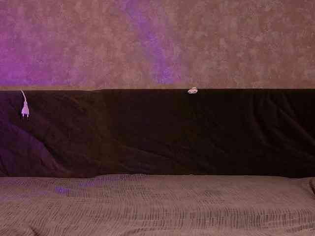 Avr0ria webcam