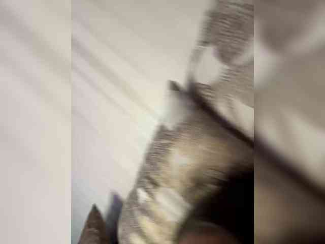 NIMFOOOMANIYA webcam