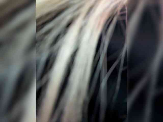Chloee